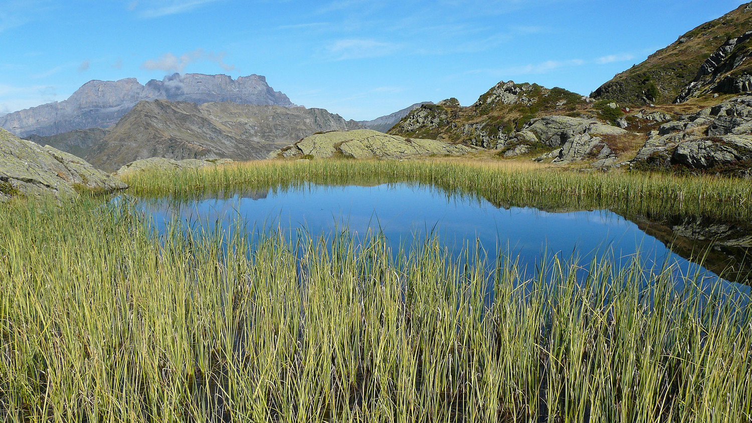 Petit voisin du lac du Brévent