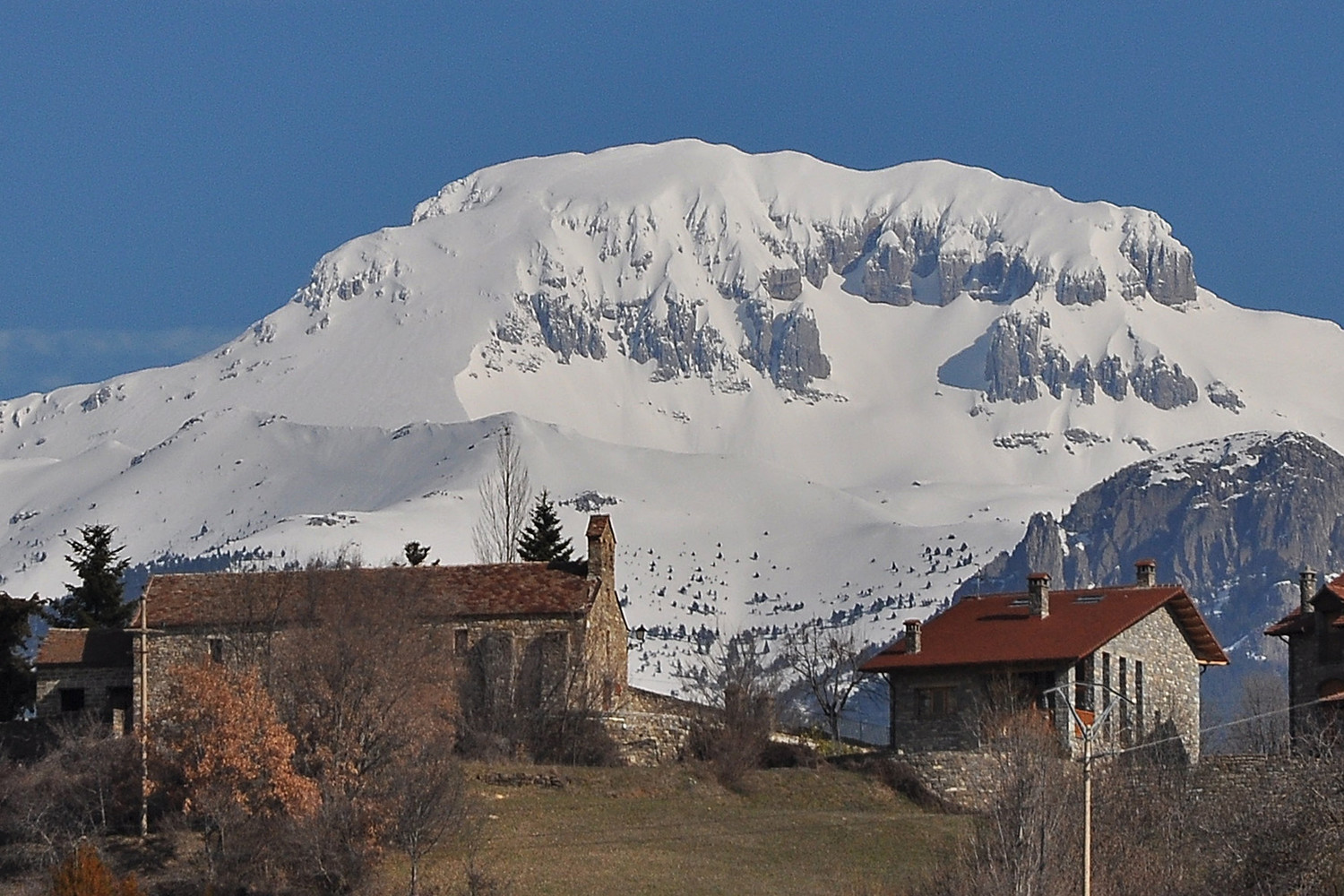 Bisaurín