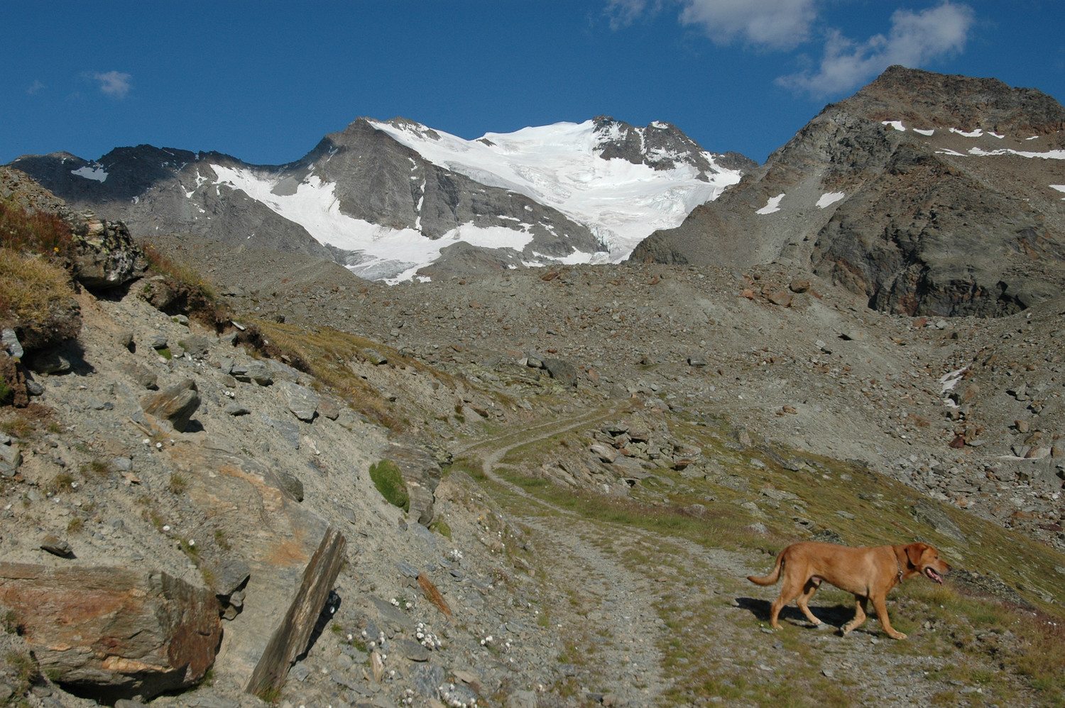 Fletschhorn, W. 08/2009