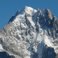 Gros plan sur la Verte