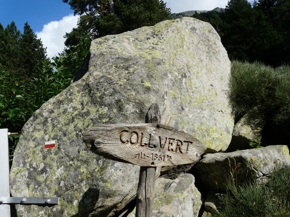 Le Col Vert
