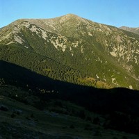 Le massif du Canigou depuis le Pla de la Pelote