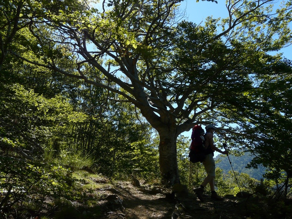 Dans la montée au Roc de France
