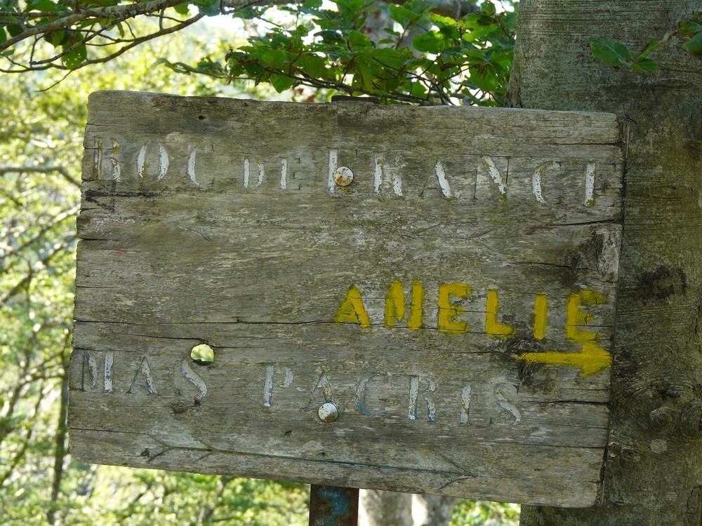 La qualitat dels cartells és proporcional a la freqüentació dels indrets