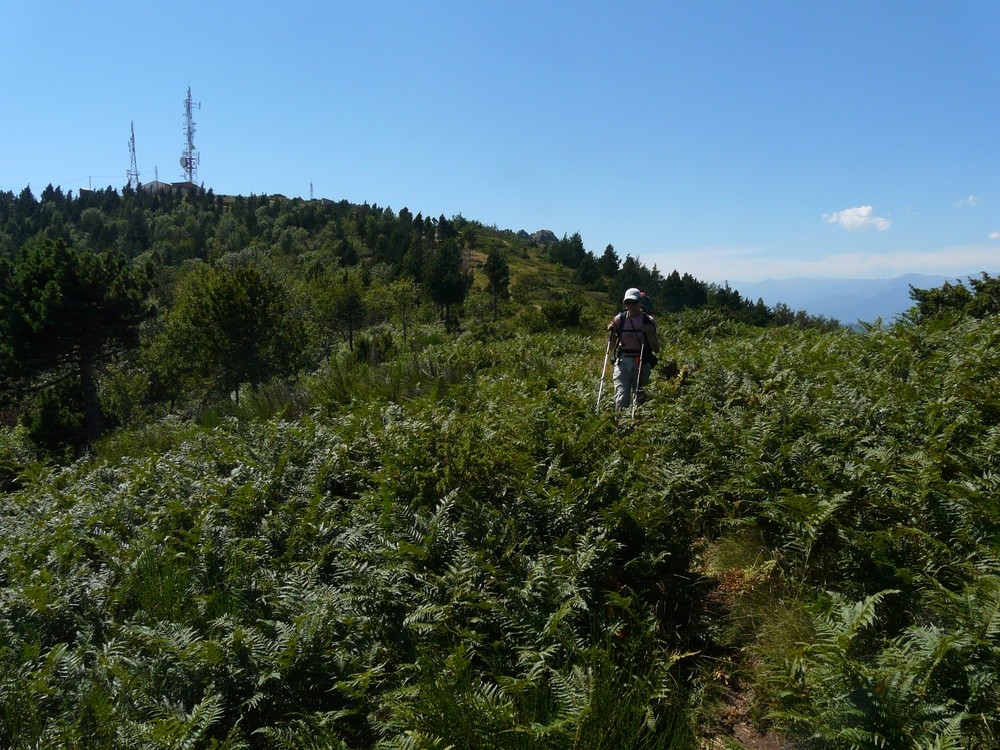 Descente sur le col du Puits de la Neige