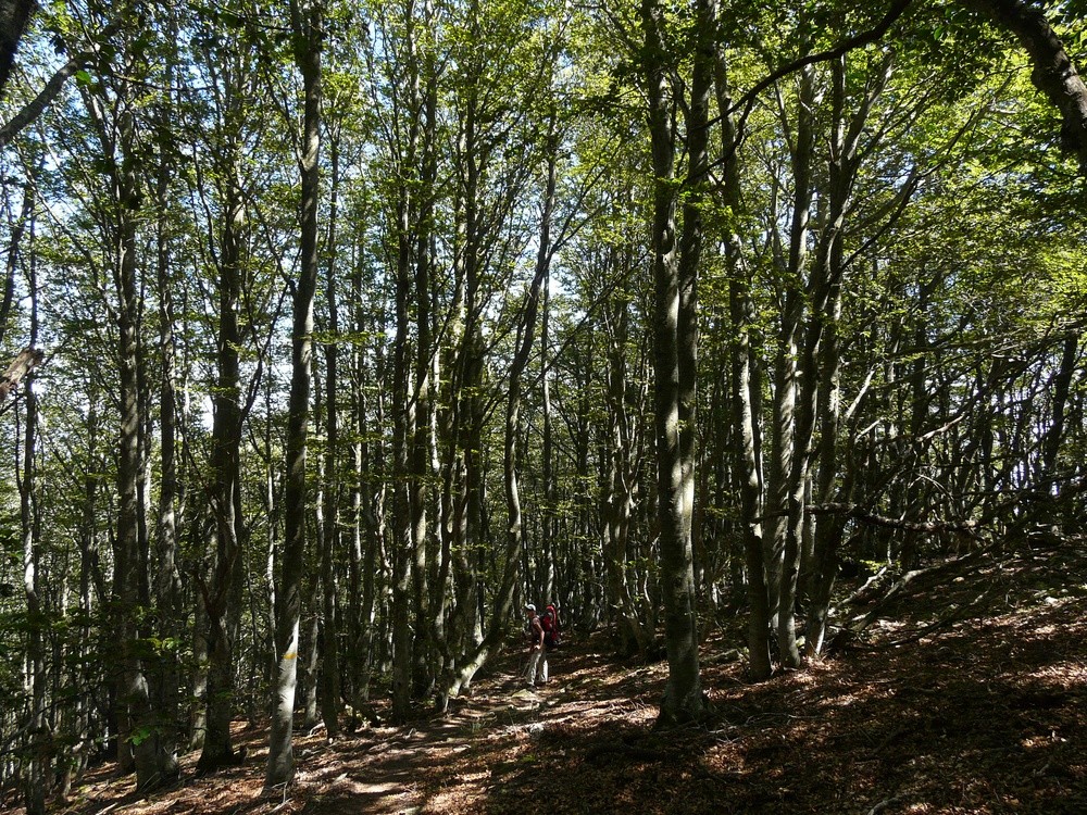 Descente sur le col du Puits de la Neige