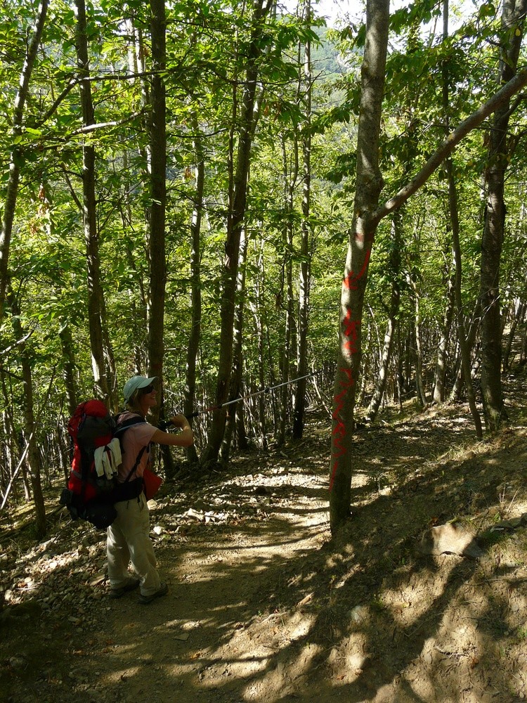 Descente sur Las Illas
