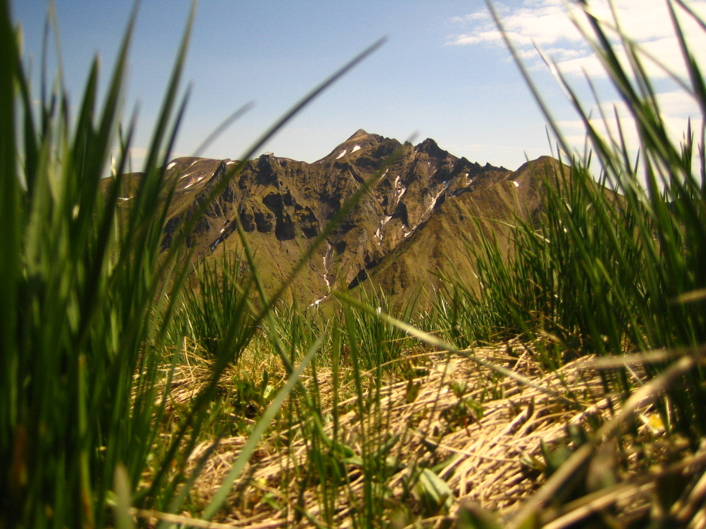 Puy de Sancy été
