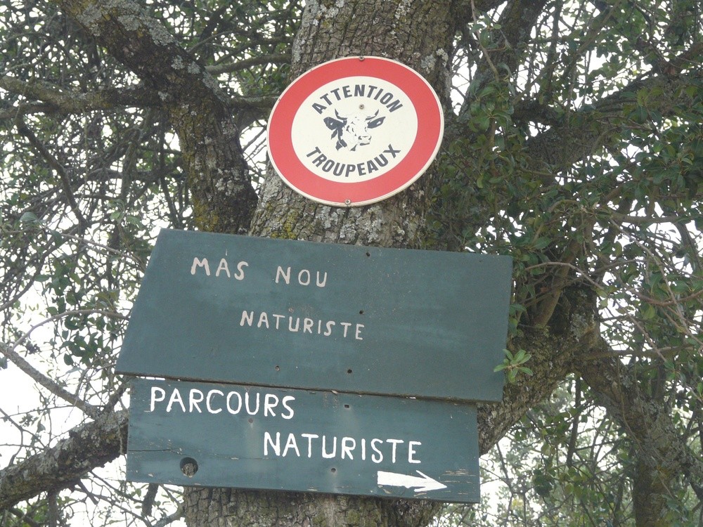 Atenció: ramats. De naturistes?