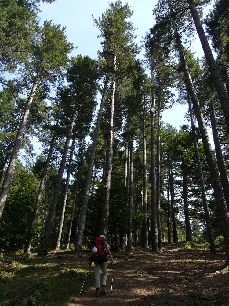 Montée au col des Trois Termes
