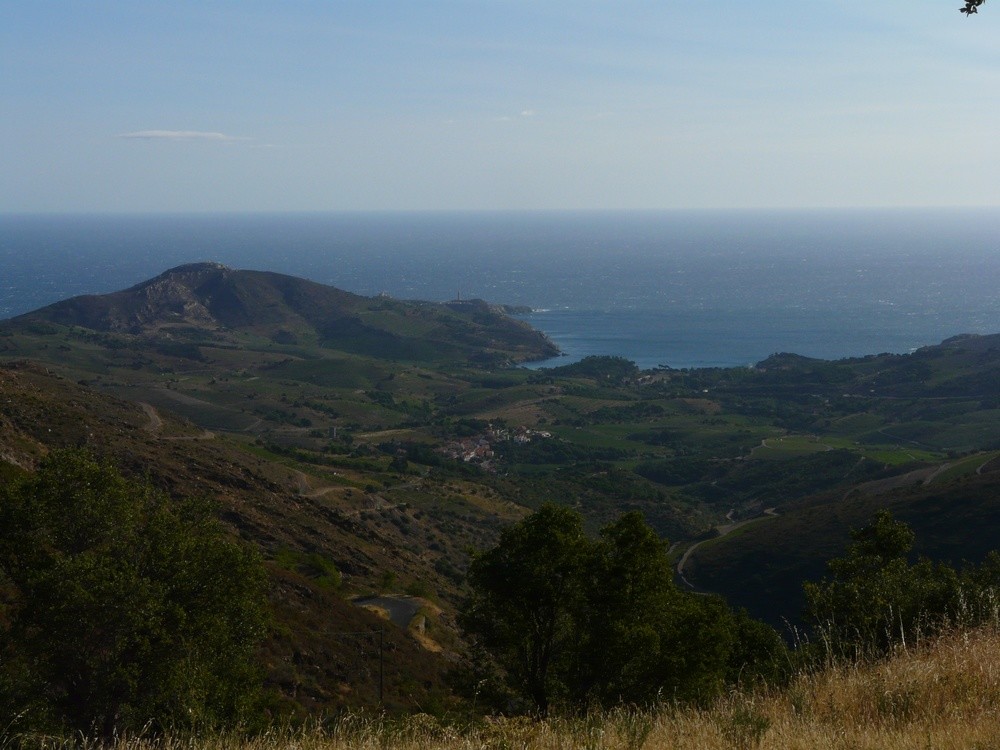 L'anse de Paulilles