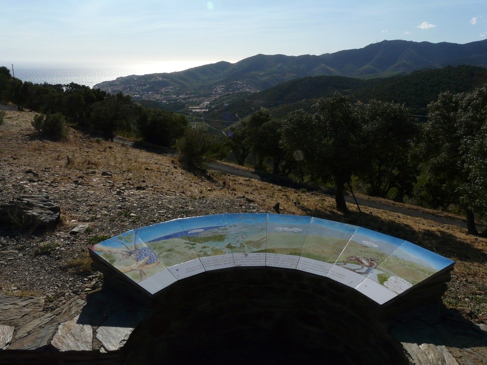 Taule d'orientació sobre Banyuls de la Marenda