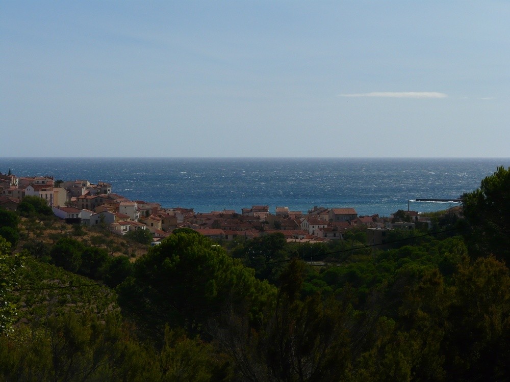 Banyuls