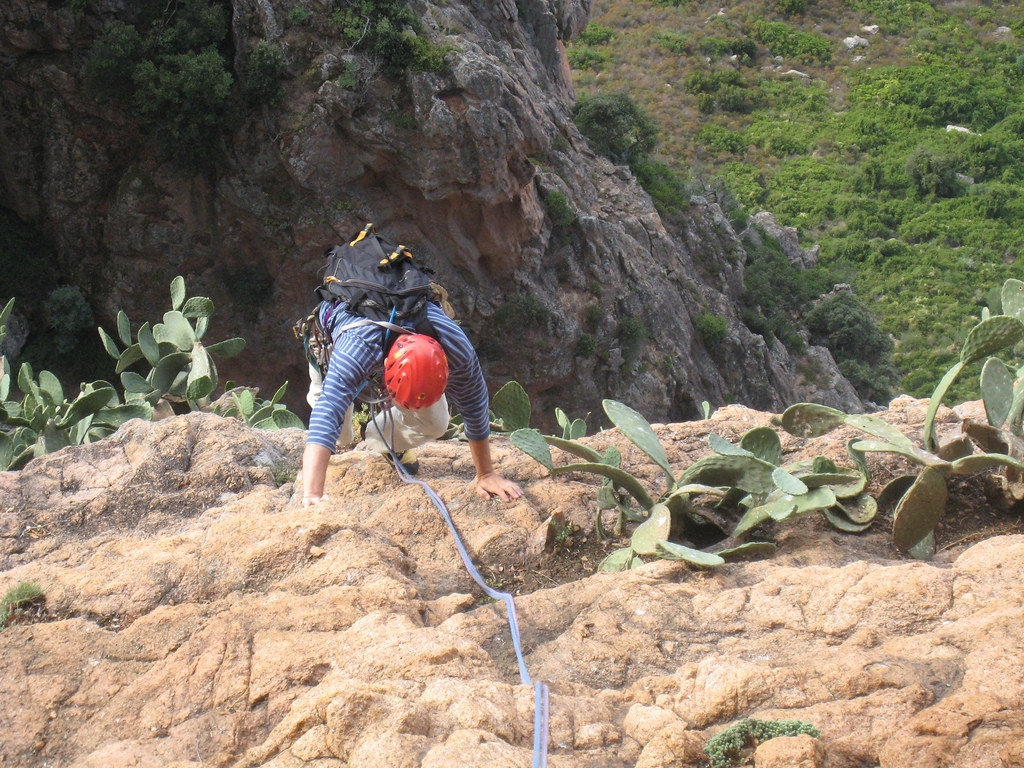 L5, gare aux cactus !