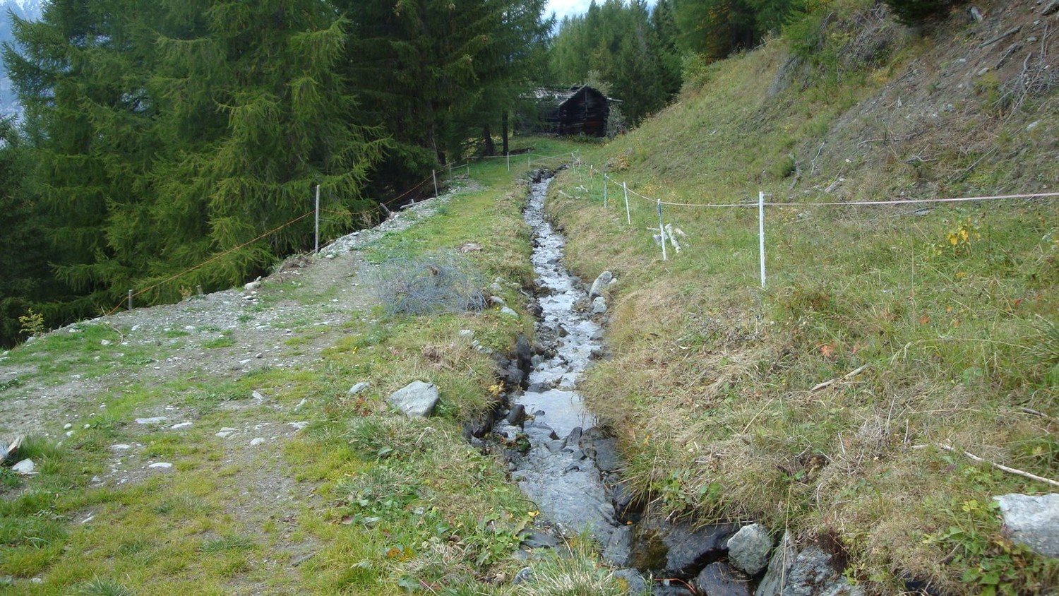 Unterbächneri