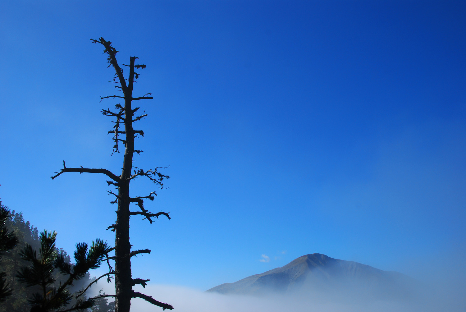 lever de brume sur le Blayeul