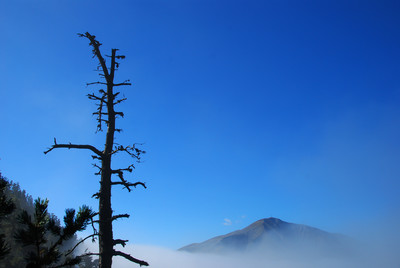 lever de brume sur le Blayeul lever de brume sur le Blayeul
