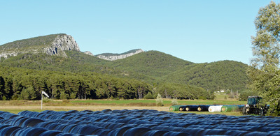 Marée noire au pied du mont Lachens Marée noire au pied du mont Lachens