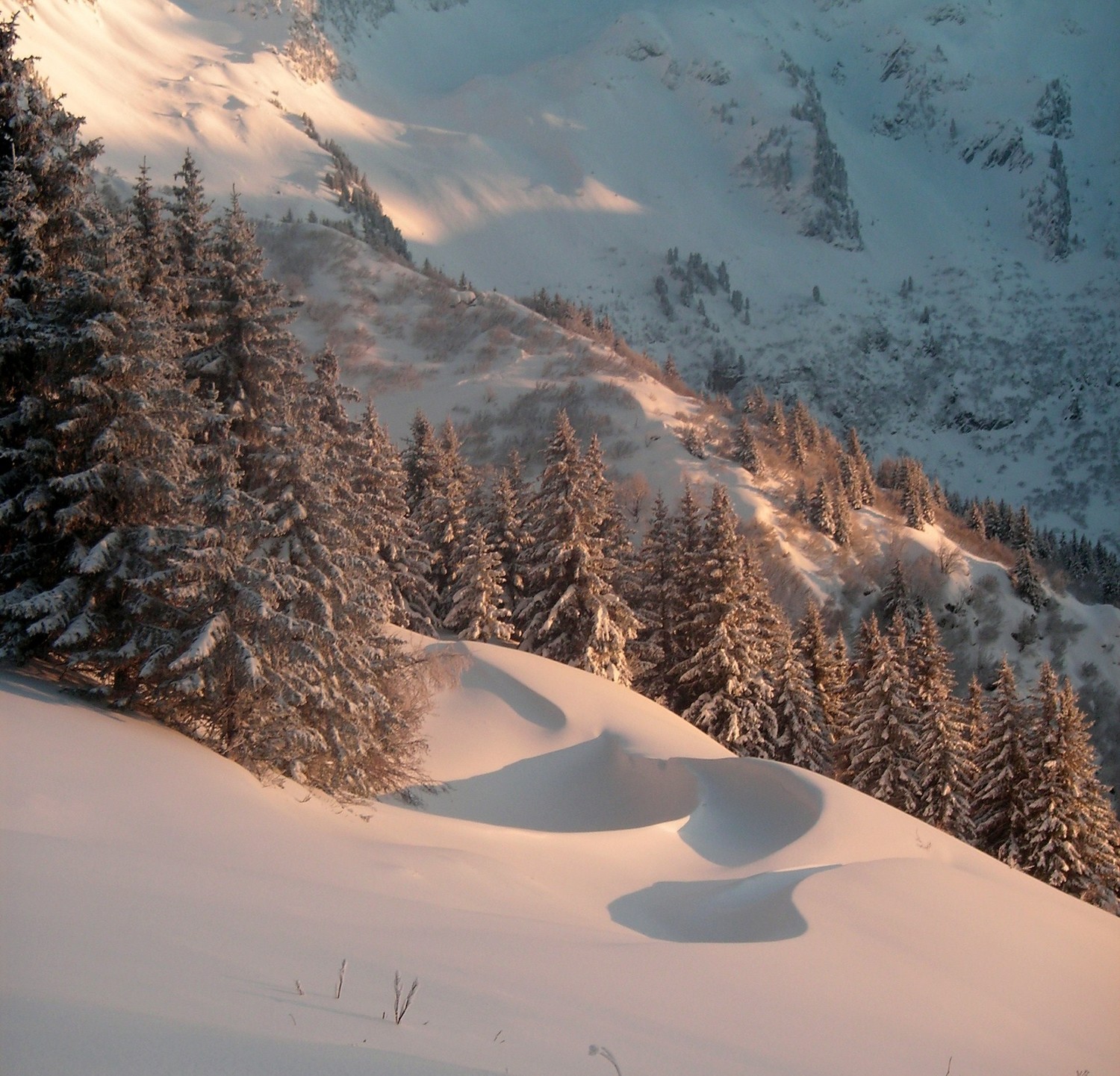 dernières lueurs sur le chapotet