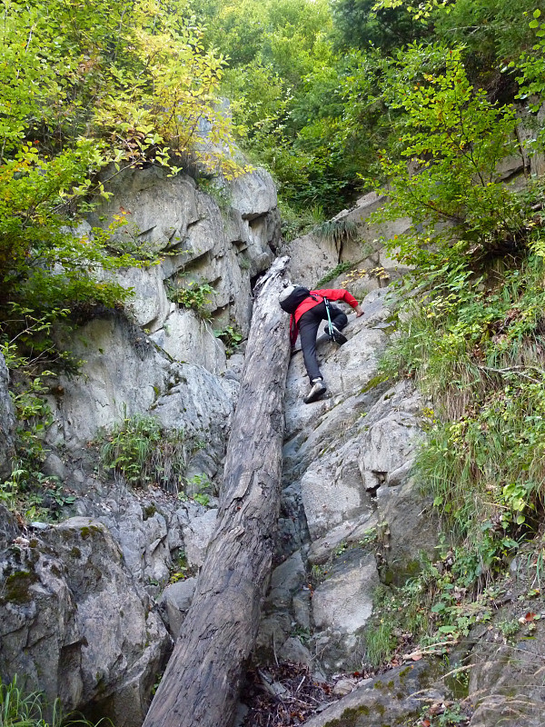 Michmuch dans son ruisseling dry