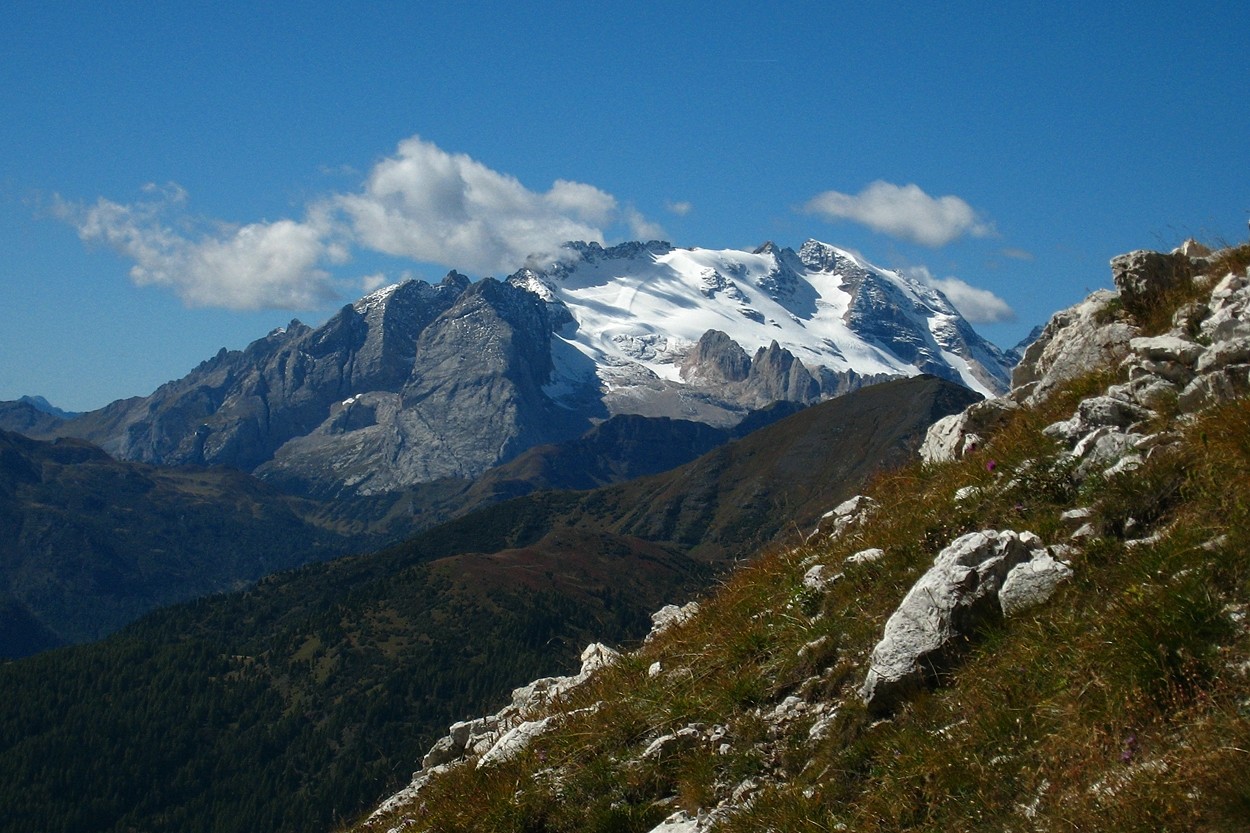 Et encore l'omniprésente Marmolada