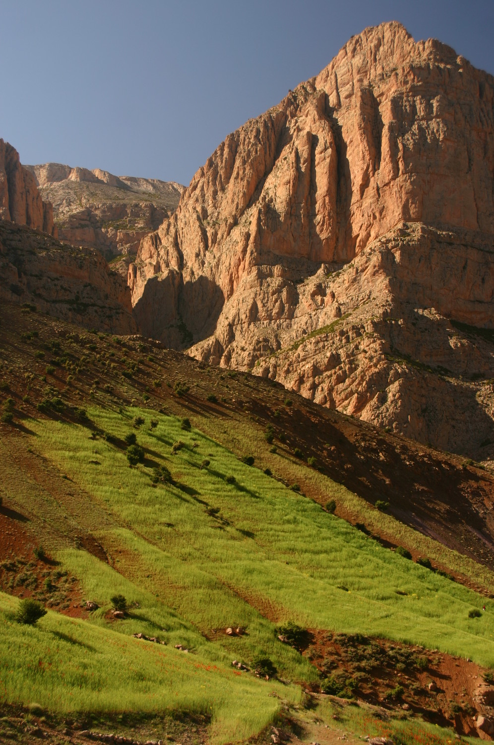 Taghia, Maroc