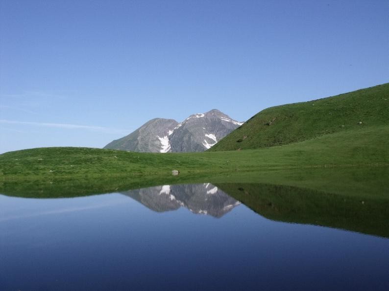 simmetrie naturali