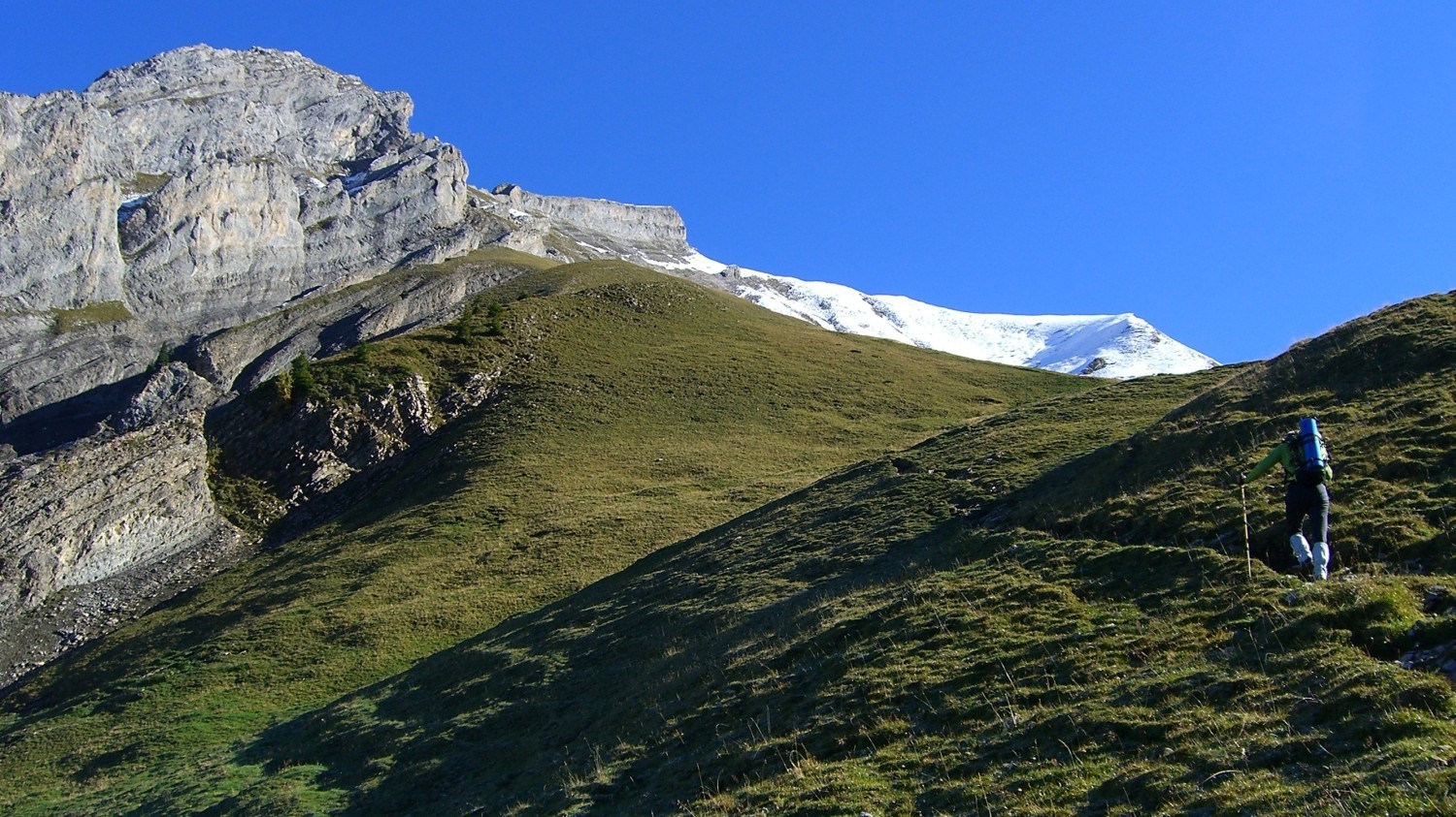 Etale-combe de Tardevant