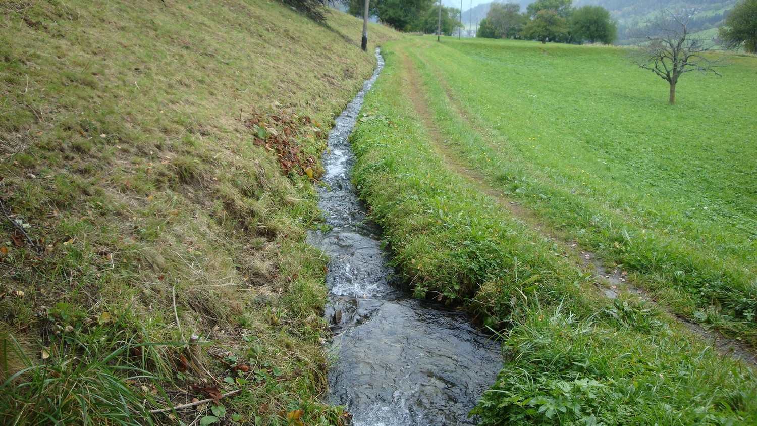 Bisse de Wuhr