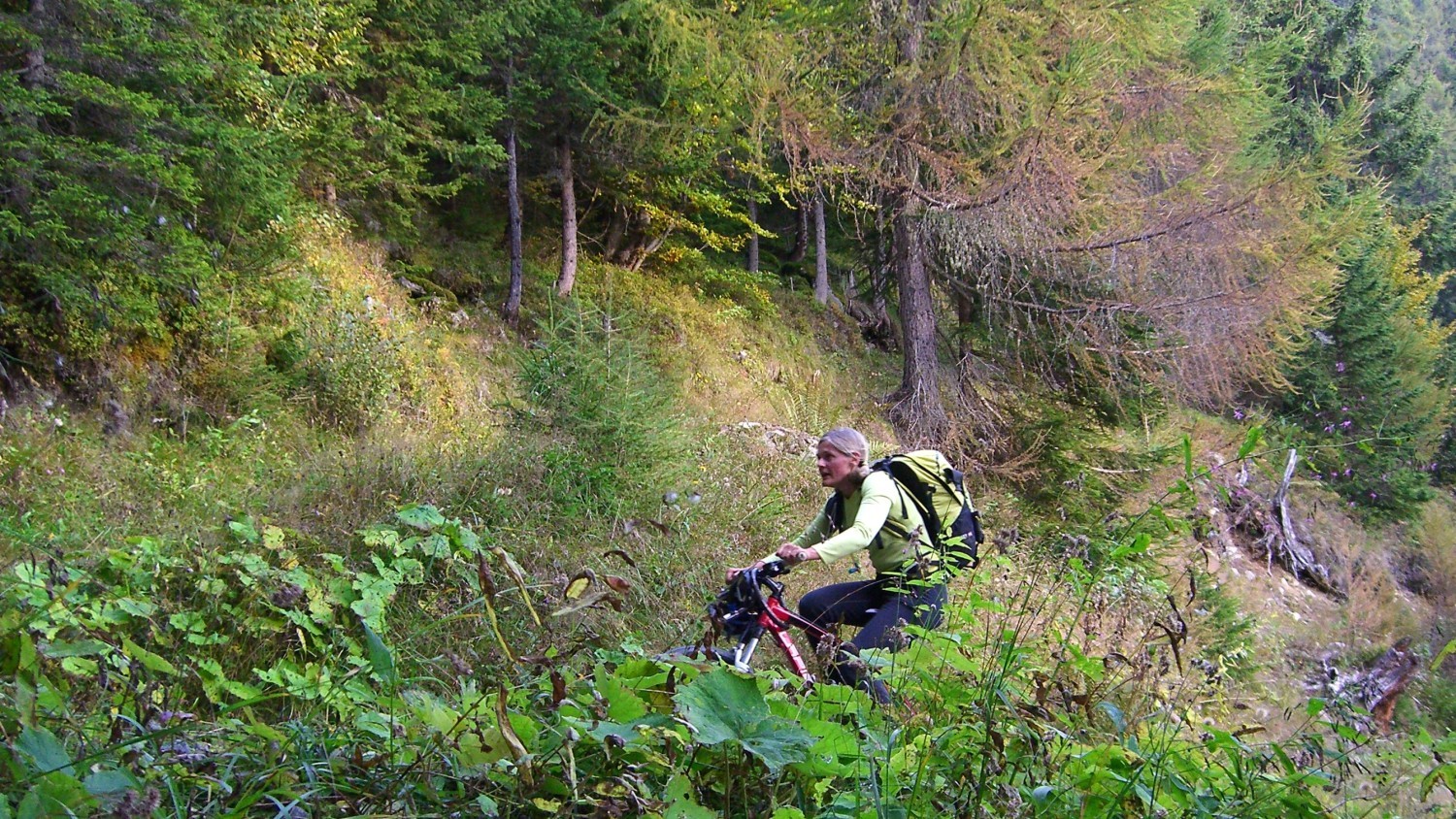 Le luisin-Le paysage défile pas très vite...