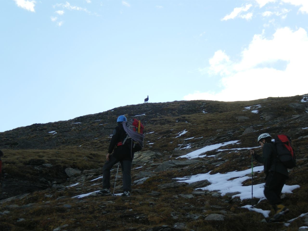 un chamois