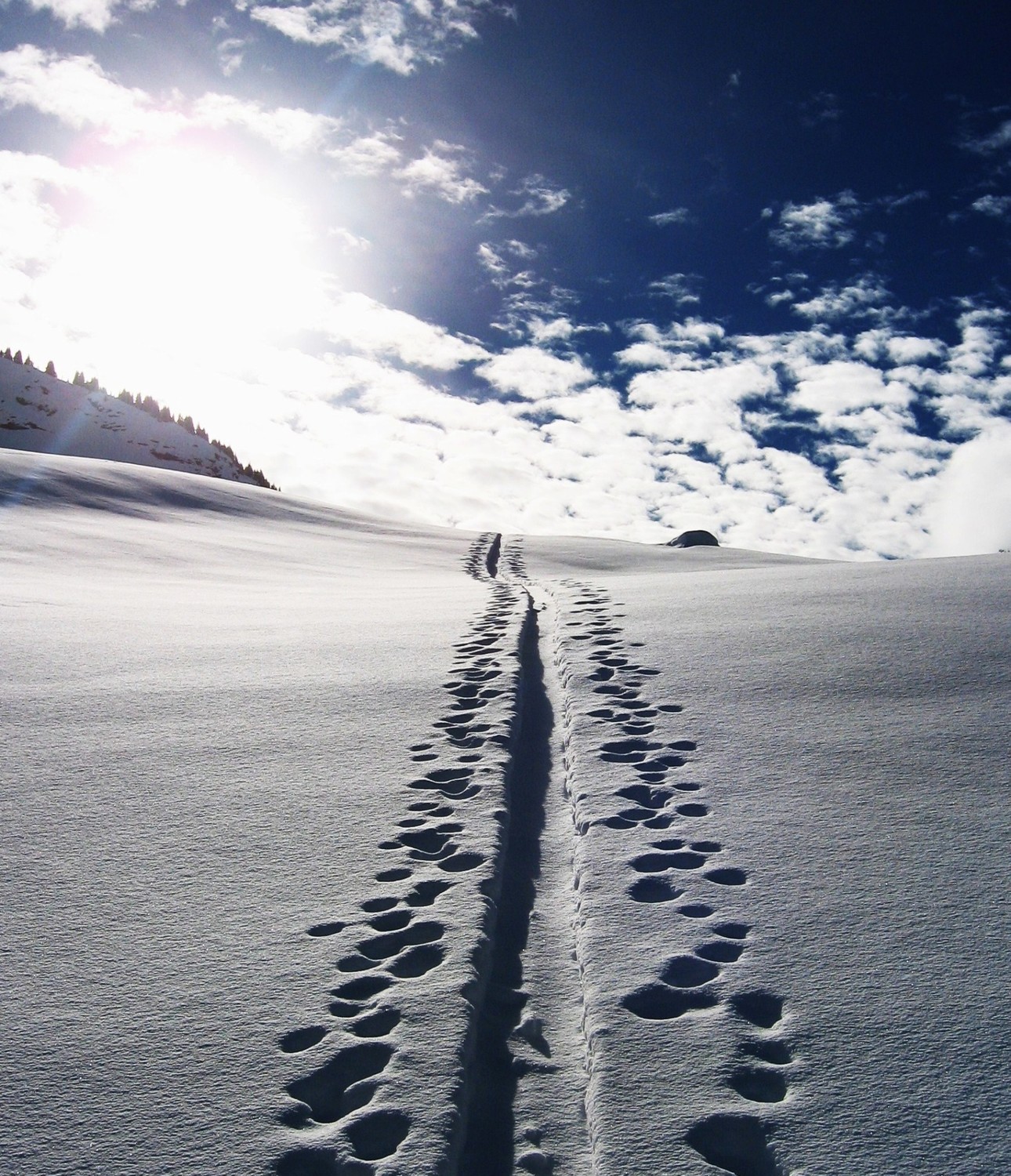 Suivre la trace...