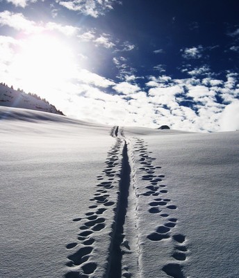 Suivre la trace... Suivre la trace...