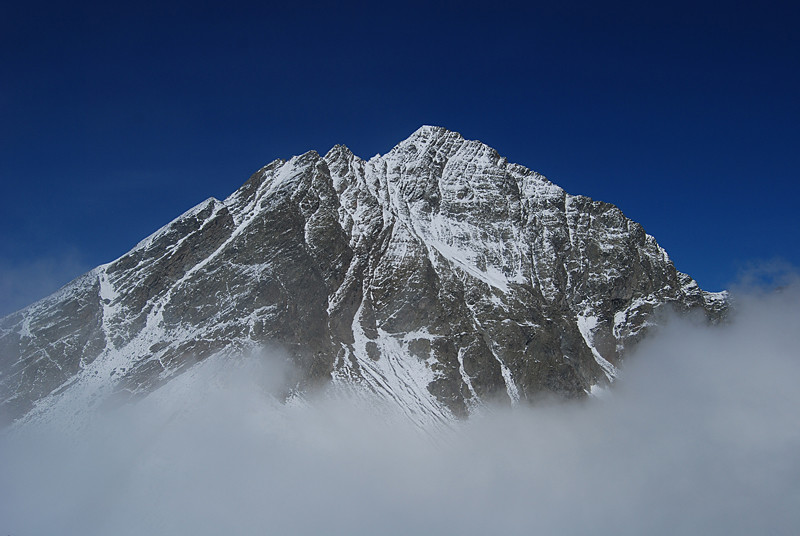 Il versante S del Piz Linard 3411 m visto dal Piz Glims 2868 m.