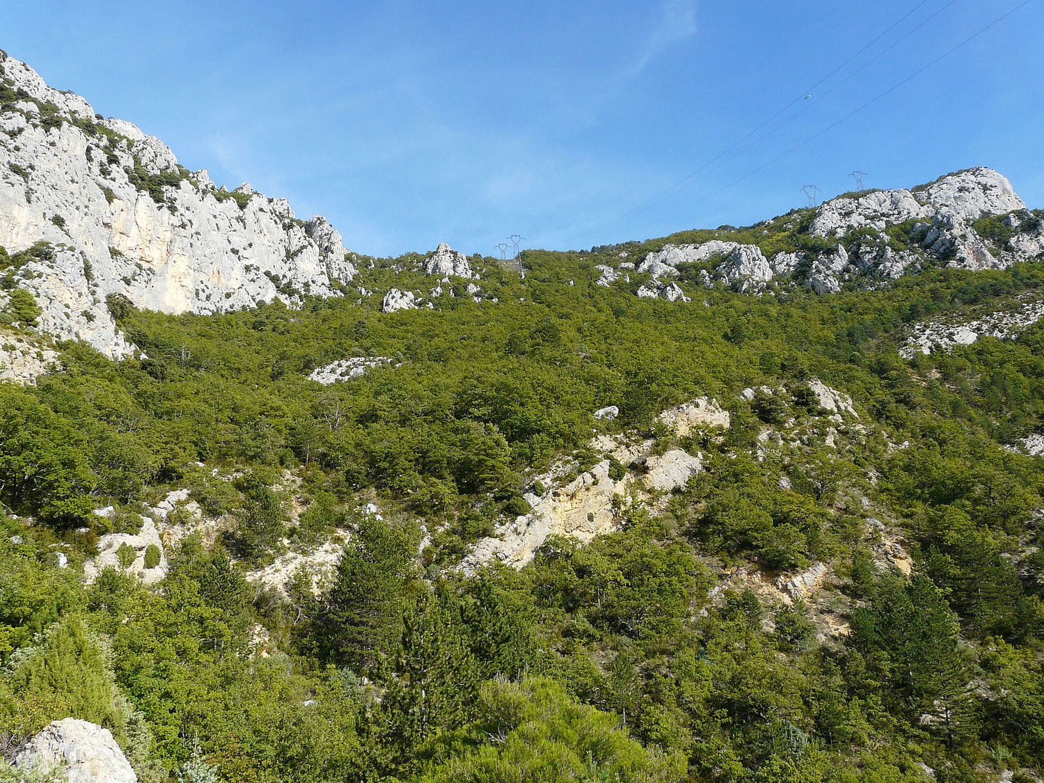 Le col de l'Ane (juste à l'emplacement des pylônes EDF au centre)