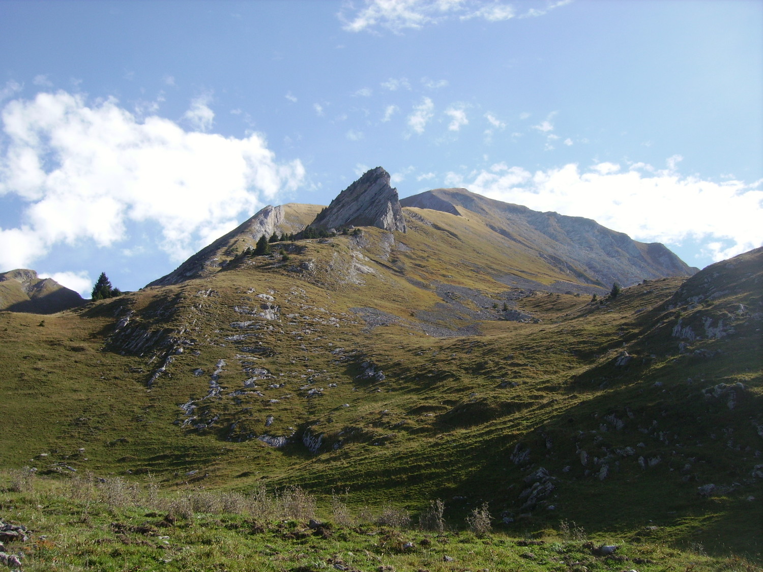 Dans l'Aulp de Marlens