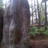 Apremont Bizon