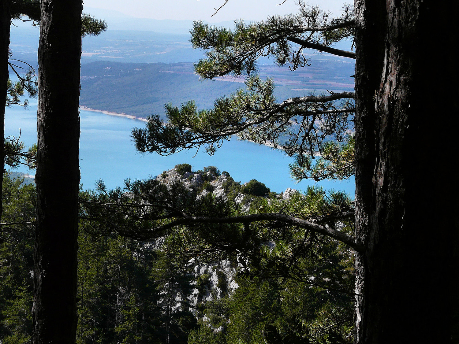Aperçu furtif sur le lac