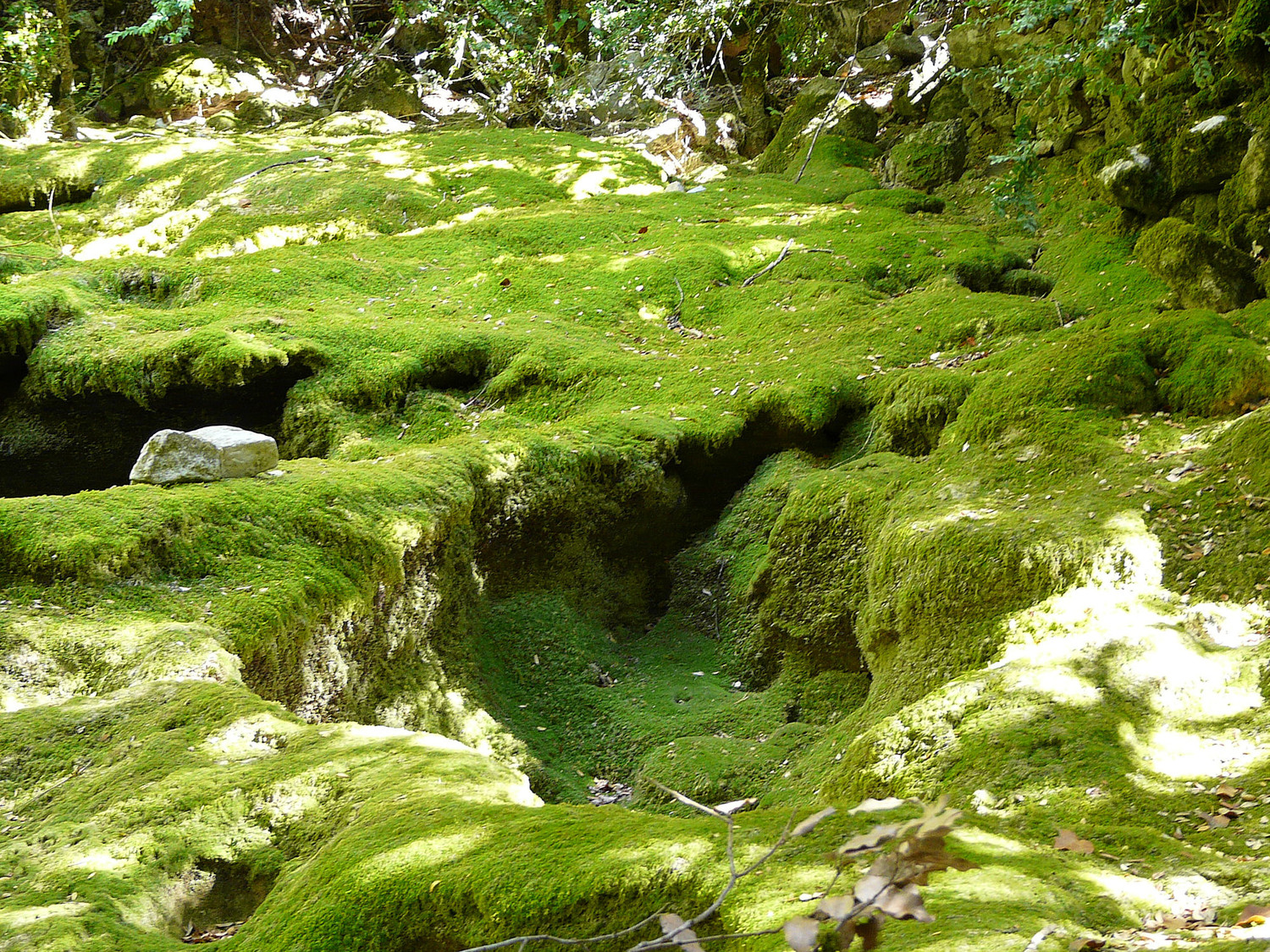 Le ruisseau asséché