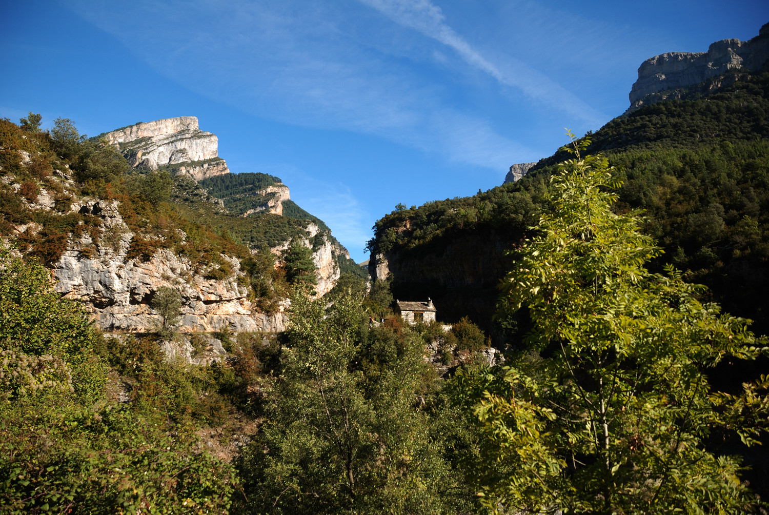 Entrés du Canyon d'Añisclo