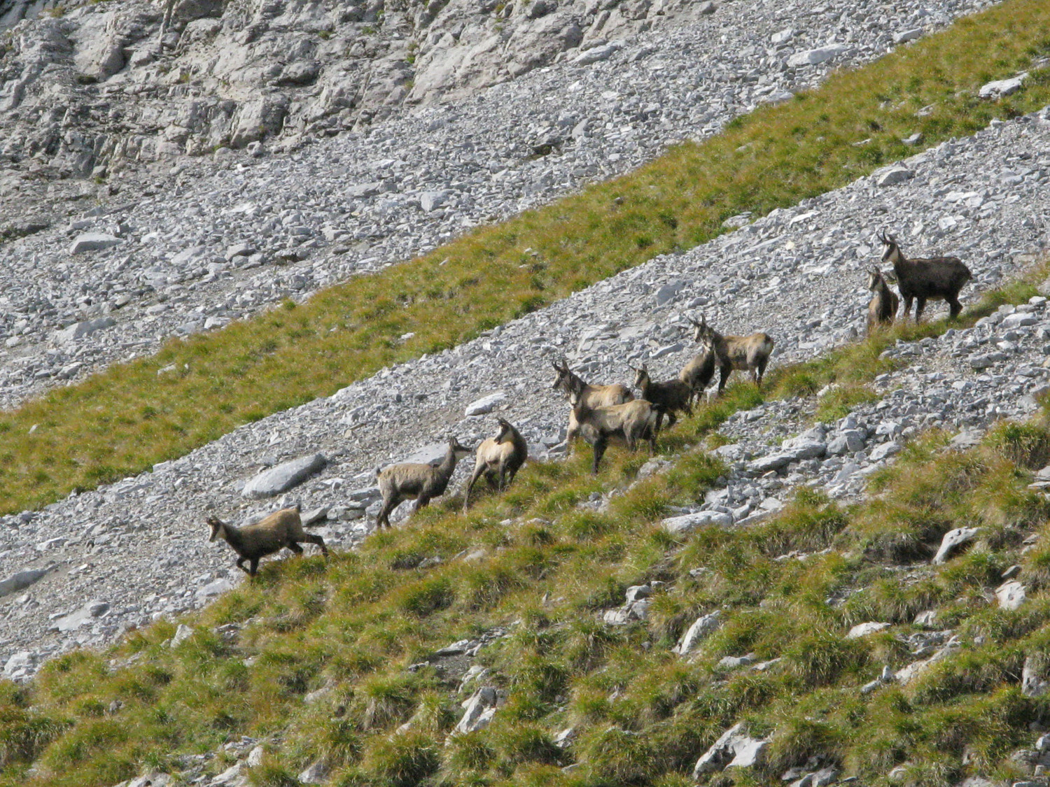 une des horde