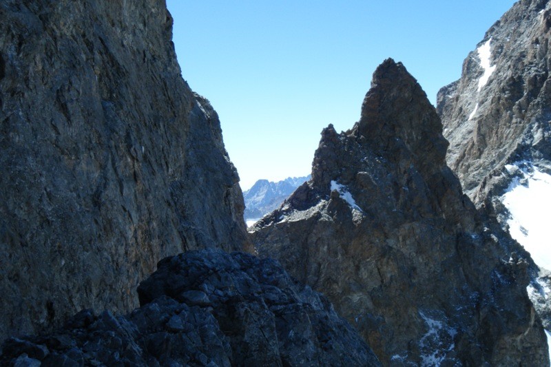 col est