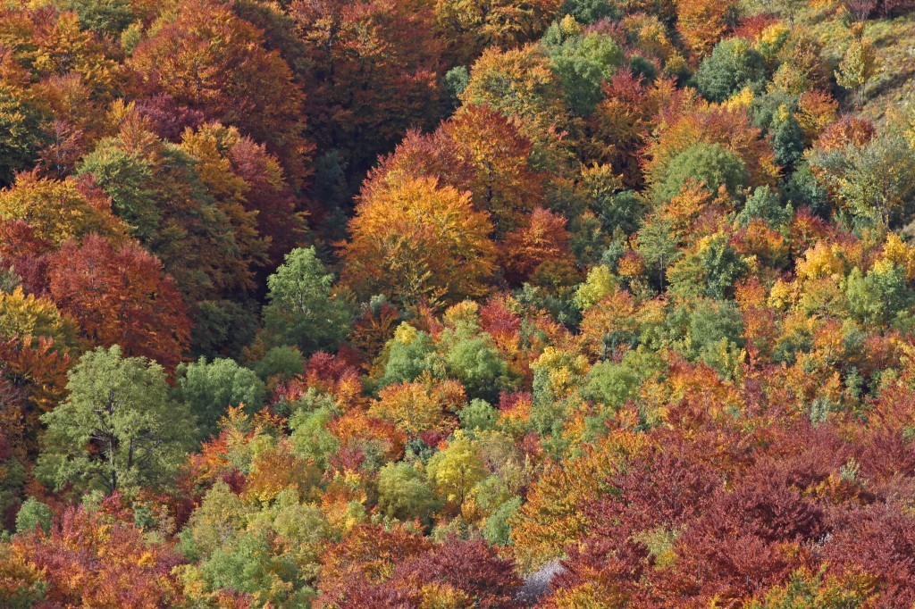 Couleurs (au pluriel !!!)