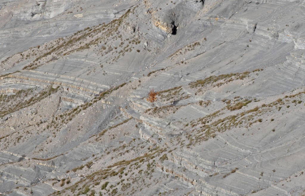 Solitude - les avalanches