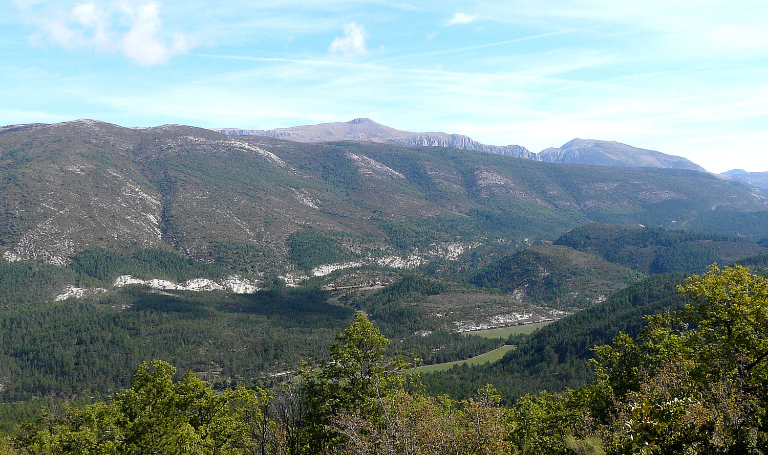 Crête de Montdenier depuis Plein Voir (Verdon)
