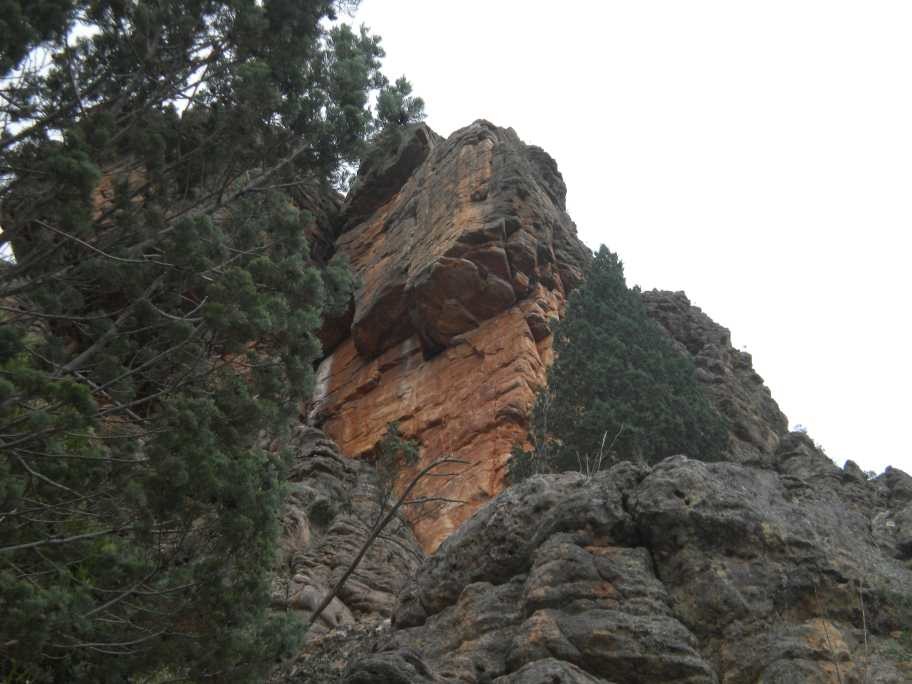 katchoong