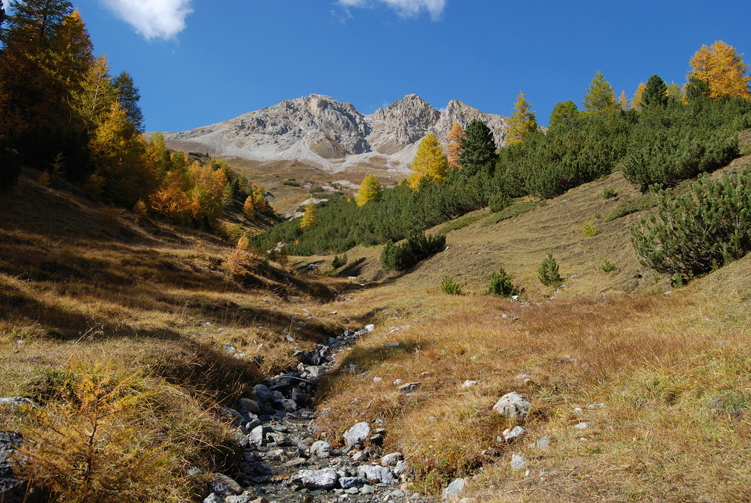 Colori autunnali in Valle del Saliente.