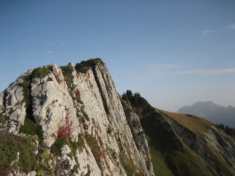 Sur l'arête
