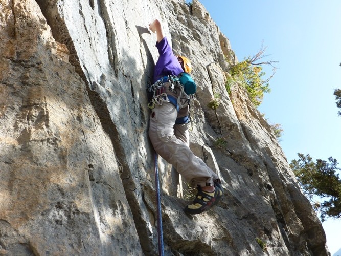 Rogier attaque