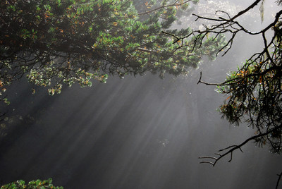 brume matinale brume matinale